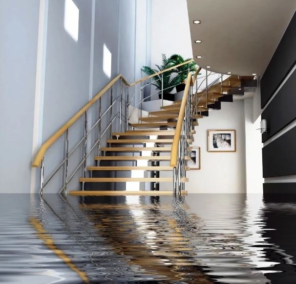 CleanUp Kings Water Damage Long Island